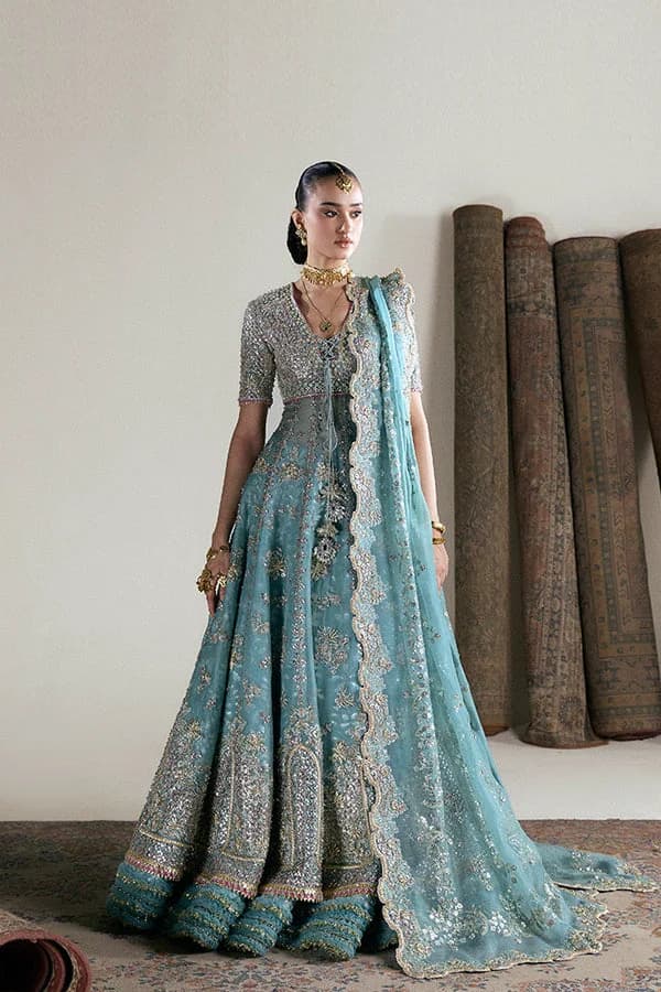 Suffuse Iris Couture Anaira D Hand Embellished Organza Party Wear Suit | IQNAZ