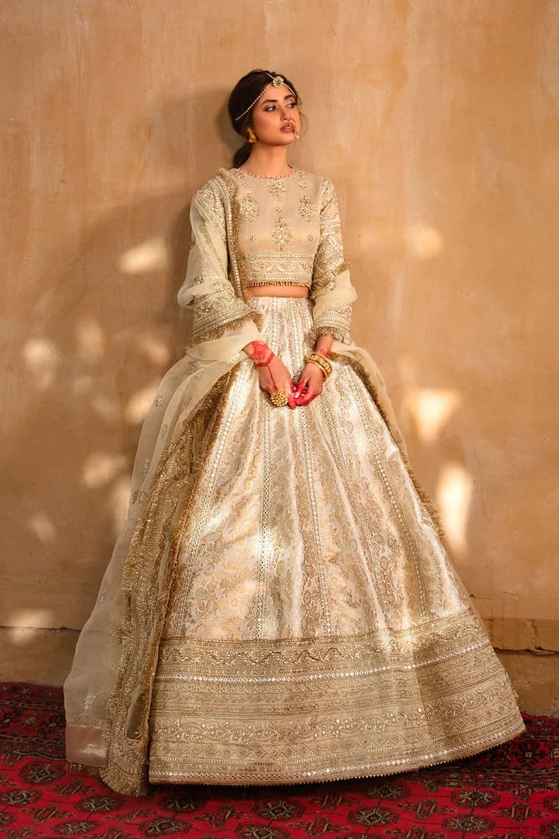 Qalamkar Afsanah Embroidered Organza Party Wear Suit – Model Front View Qalamkar Afsanah Embroidered Organza Party Wear Suit - Model Front Look | Pakistani Designer Replica Wholesale | IQNAZ
